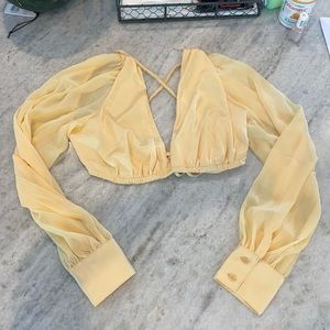 Danielle Bernstein crop spring collection!